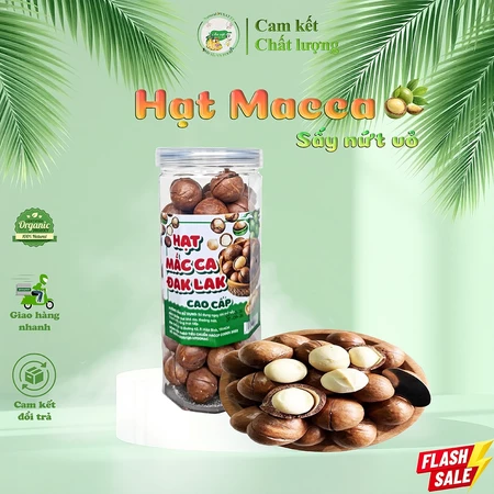 500g Hạt Macca Đắk Lắk Size Trung – Macca Nứt Vỏ Tự Nhiên, Nhân To Béo Ngậy, Tặng Dụng Cụ Tách