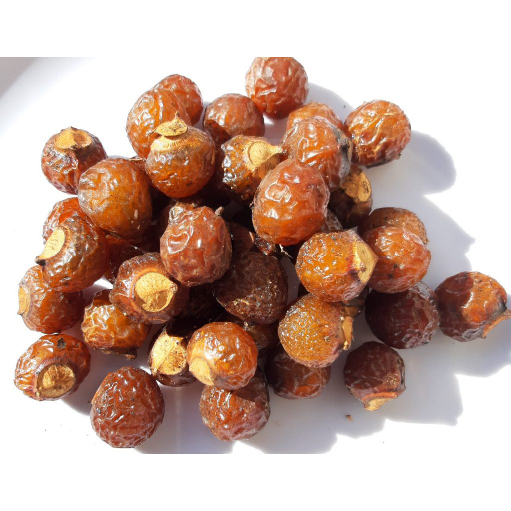 Bồ Hòn Tách Hạt Dùng Làm Nước Rửa Chén, Nước Gội Đầu, Nước Rửa Tay Tự Nhiên