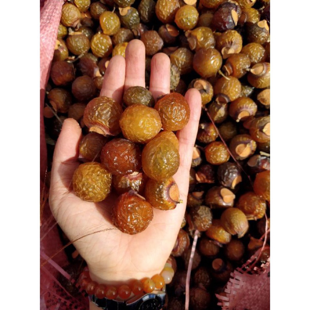 Bồ Hòn Tách Hạt Dùng Làm Nước Rửa Chén, Nước Gội Đầu, Nước Rửa Tay Tự Nhiên