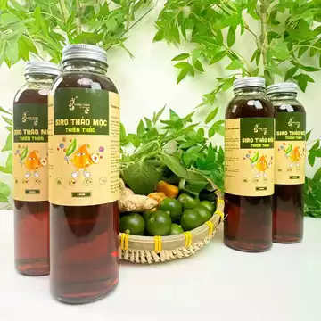 Siro ho thảo mộc húng chanh Thiên Thảo nguyên chất từ thảo dược không pha (có giấy kiểm định)
