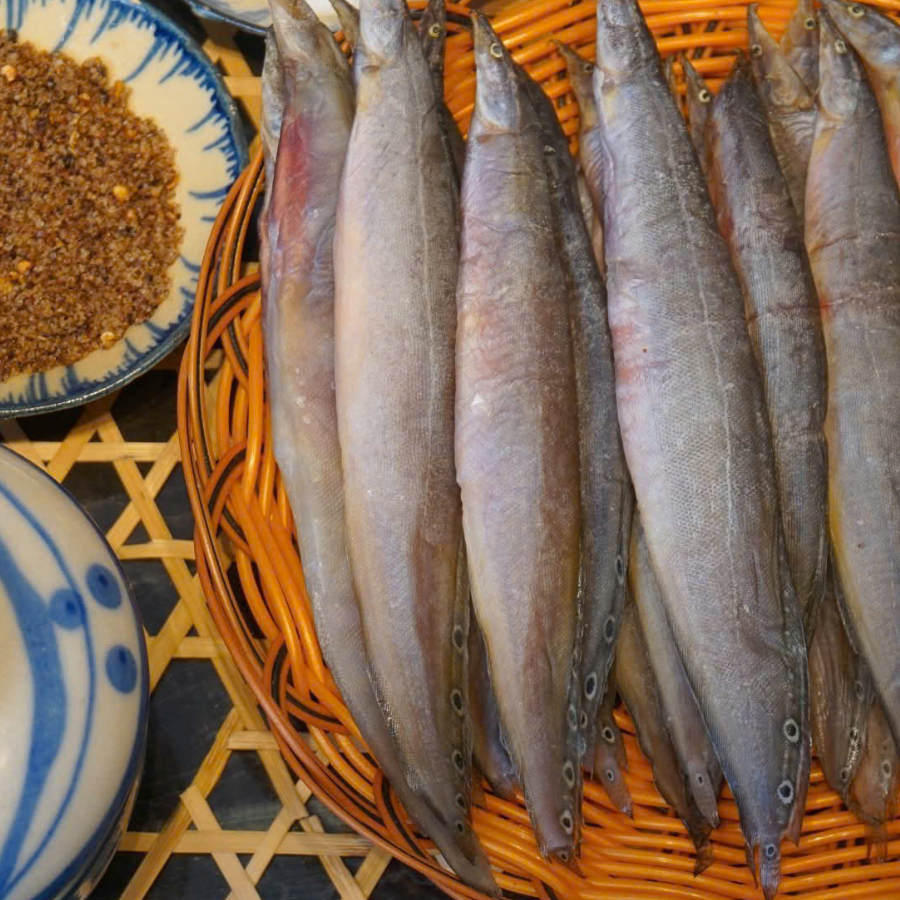 [HÀNG SIÊU THỊ-LOẠI 1] Khô cá chạch 1 nắng Thế Giới Hải Sản, khô cá chạch lớn, cao cấp chuẩn vị đồng