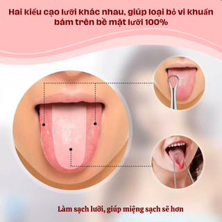 [MUA 1 TẶNG 1] Bộ 2 Cây Cạo Lưỡi Inox Cao Cấp – Kèm Hộp Đựng, An Toàn, Chăm Sóc Răng Miệng Hiệu Quả