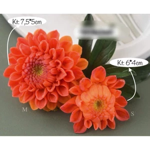 Set thược dược mẫu mới