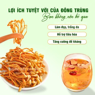 Đông trùng hạ thảo 500g, trà đông trùng bồi bổ sức khỏe, nấu lẩu, canh, hầm gà thơm ngon