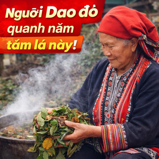 1kg Lá tắm người Dao đỏ Sapa - Lào Cai - Lá tắm sau sinh
