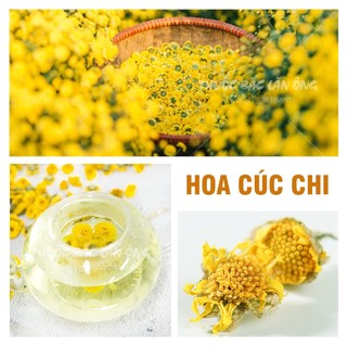 Hoa cúc chi sấy khô 100g (Trà hoa cúc vàng thanh lọc cơ thể)
