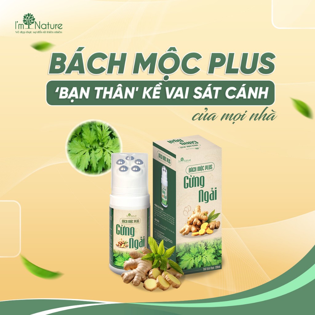 [Chính Hãng] Con Lăn Gừng Ngải Bách Mộc Plus - Dầu Xoa Bóp Massage Cổ Vai Gáy, Đau Lưng, Tan U Cục