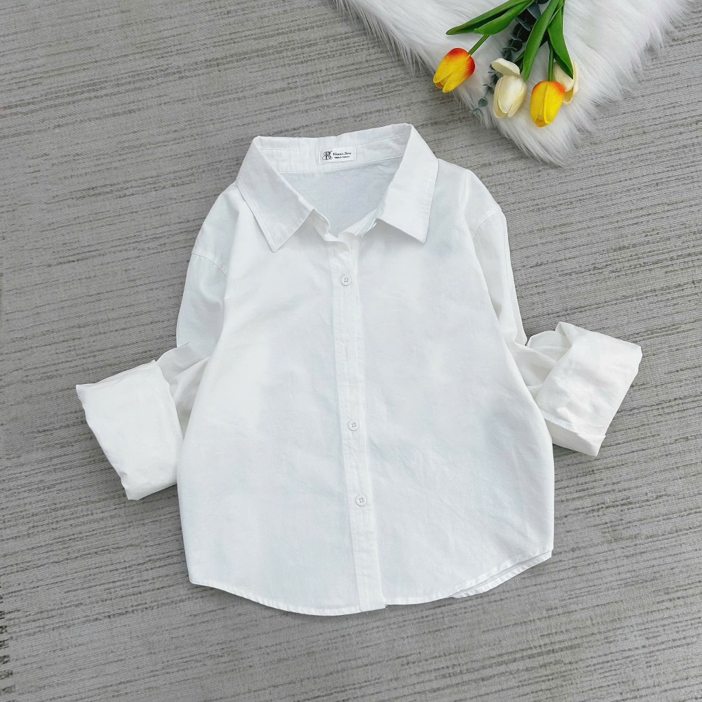 Áo Sơ Mi Nữ Tay Dài Form Dáng Vừa Chẩt Vải Kaki Cotton (864) Có Thêu Hình Ngựa Nhiều Màu Freesize