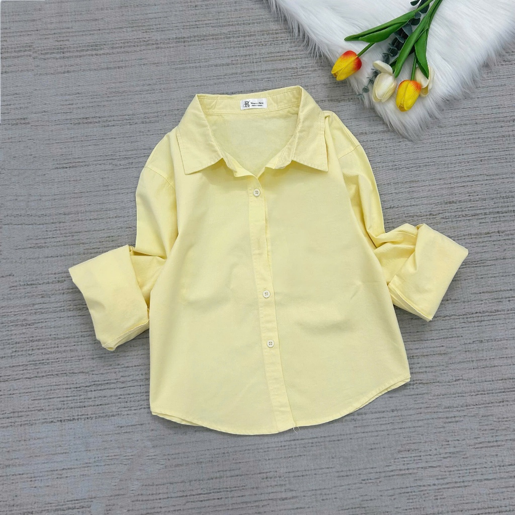 Áo Sơ Mi Nữ Tay Dài Form Dáng Vừa Chẩt Vải Kaki Cotton (864) Có Thêu Hình Ngựa Nhiều Màu Freesize