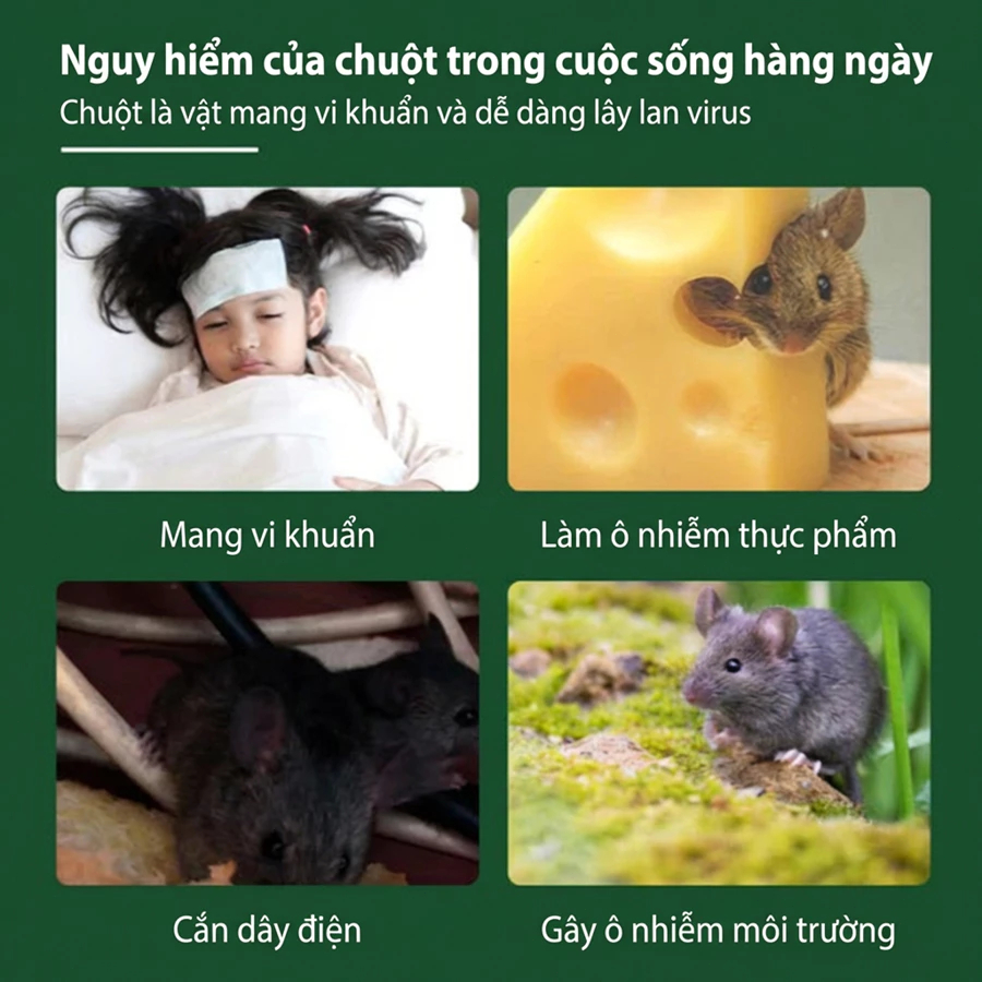 🧨 Gel diệt chuột siêu hiệu quả, đuổi chuột trong 24 giờ Không còn chuột xuất hiện! Gel đuổi chuột Diệt chuột 35g