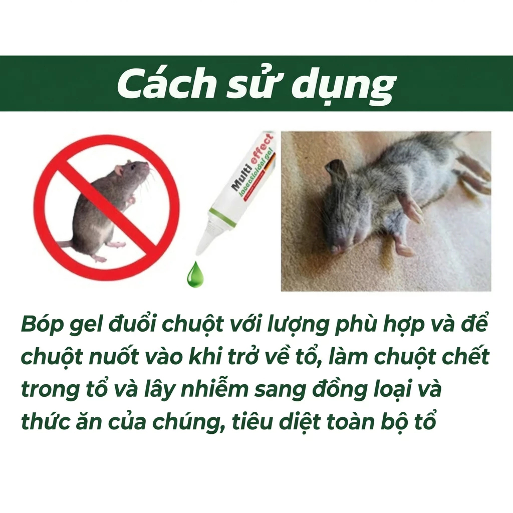 🧨 Gel diệt chuột siêu hiệu quả, đuổi chuột trong 24 giờ Không còn chuột xuất hiện! Gel đuổi chuột Diệt chuột 35g