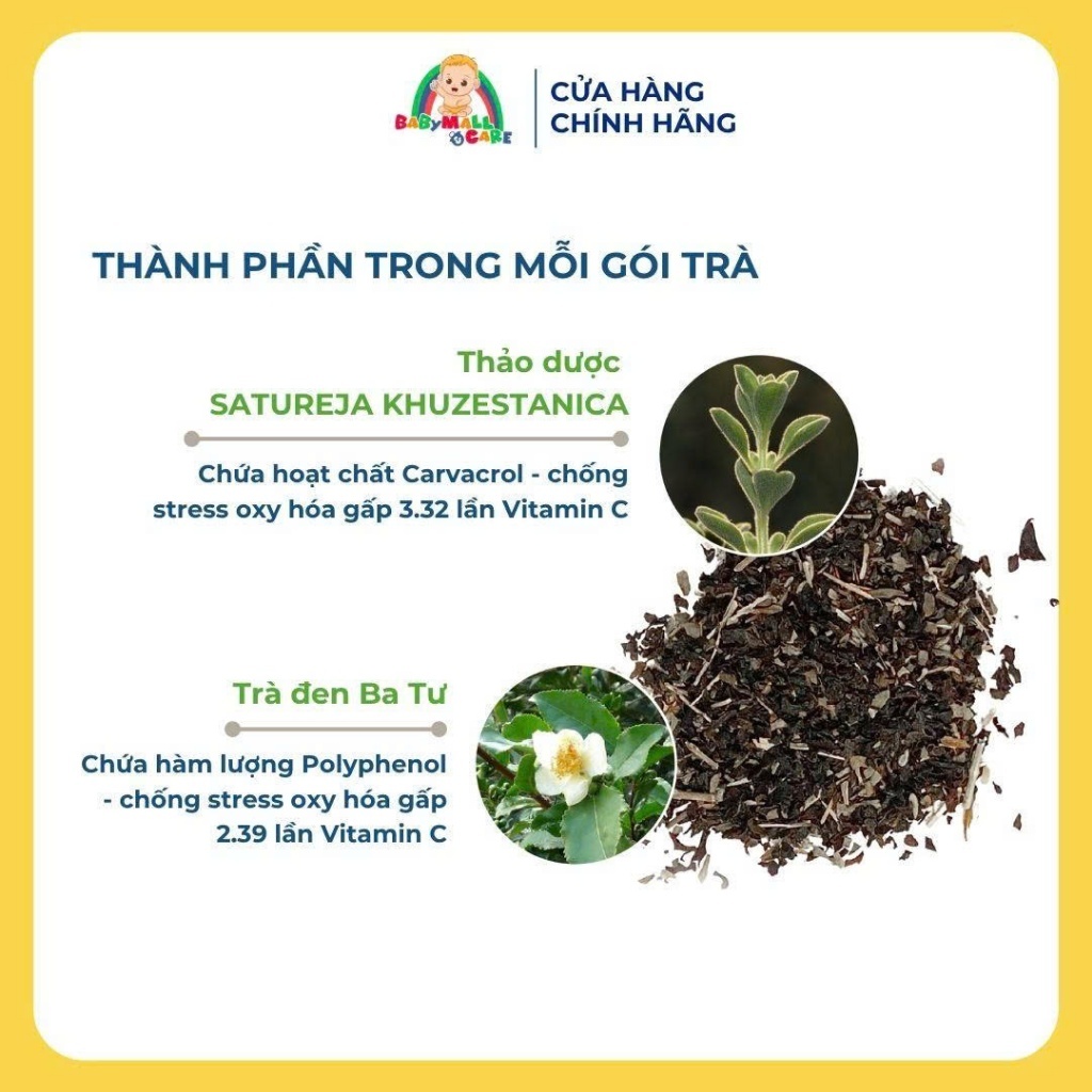 Trà Thảo Dược Saturex Khuzesstanica & Iranian Black Tea Hỗ Trợ Cân Bằng Mỡ Máu |  Babymall & Care