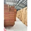 20 Viên xốp xanh cắm hoa tươi, Hoa thược dược, sáp xốp mút nước xanh