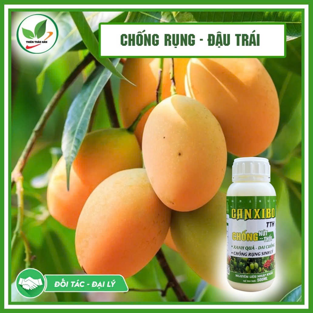 Canxi Bo Đậm Đặc – Chống Rụng Hoa, Tăng Đậu Trái, Chống Nứt Trái Cho Cây Ăn Trái