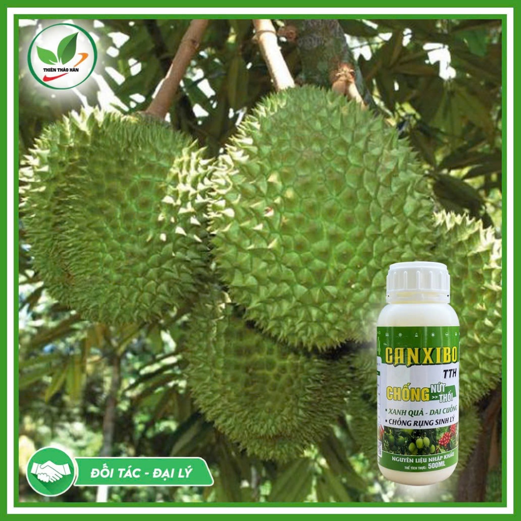 Canxi Bo Đậm Đặc – Chống Rụng Hoa, Tăng Đậu Trái, Chống Nứt Trái Cho Cây Ăn Trái