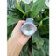 Sữa rửa mặt tạo bọt dịu nhẹ Jmella 200ml