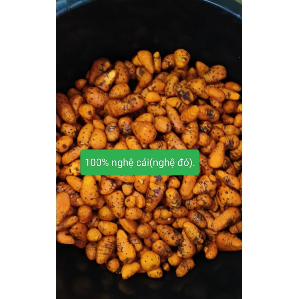 2kg Củ nghệ cái (nghệ đỏ)  giàu curcumin