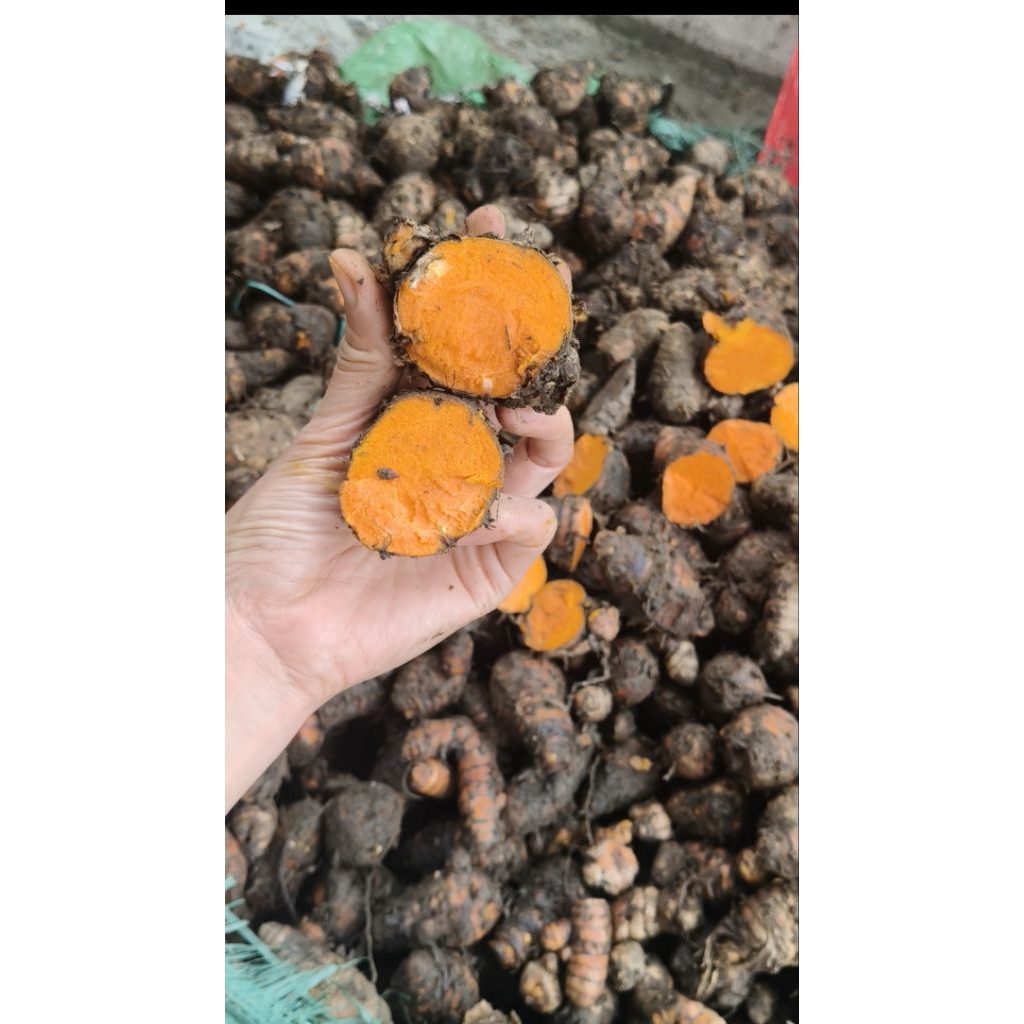 1kg Nghệ đỏ củ cái thái lát (đã ngâm nhựa, để ráo)