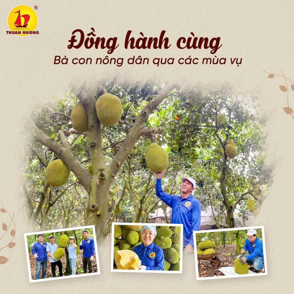 Combo Mít sấy + Rau củ sấy Thuận Hương - Combo 500g + 500g | Combo 200g + 200g - Thập cẩm Giòn thơm