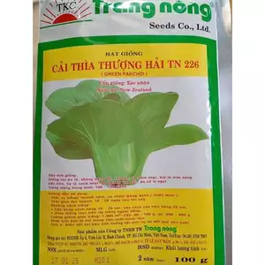 CẢI THÌA THƯỢNG HẢI TN 226 - DỄ TRỒNG, NHANH ĂN, VỊ GIÒN, NGỌT THANH ( gói 100gr)