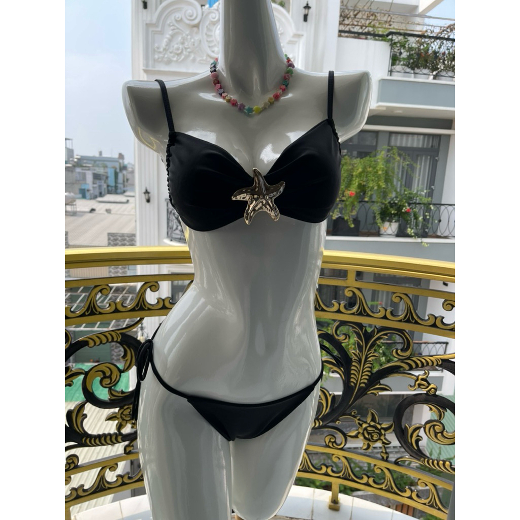 set 2 mảnh sao biển