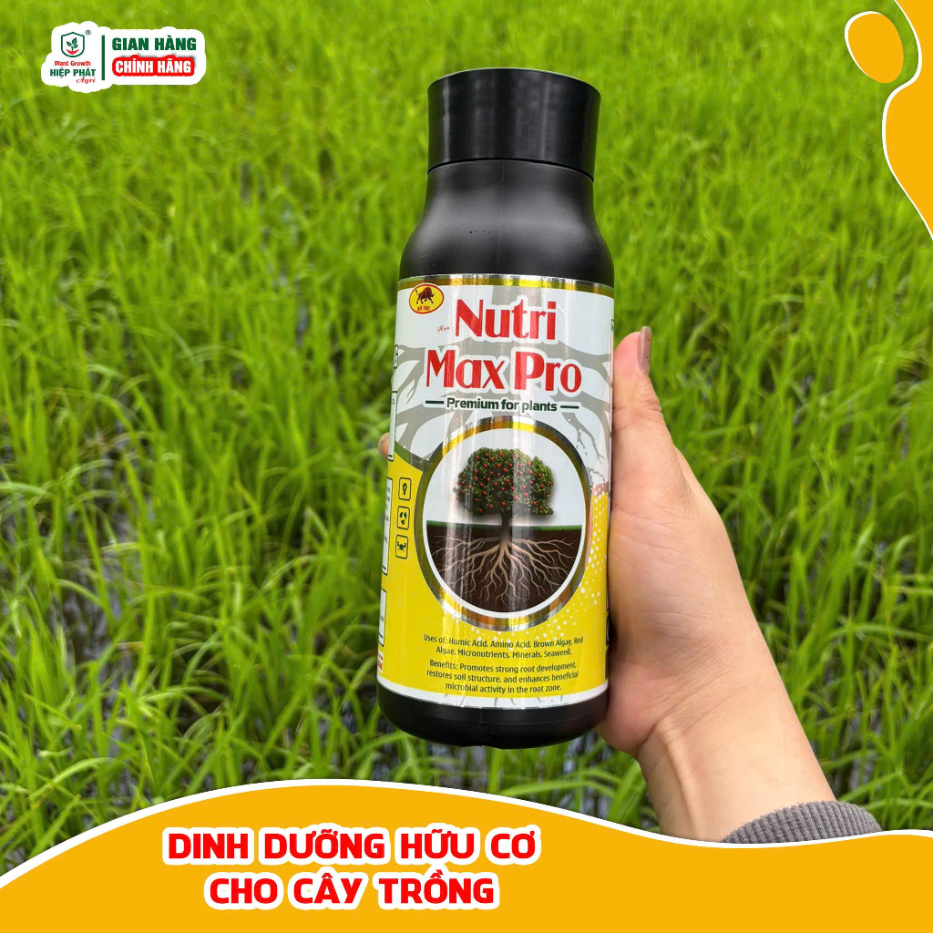 [NUTRI MAX PRO] Bung chồi, vọt đọt, chồi mập, rễ khỏe, lá xanh dày