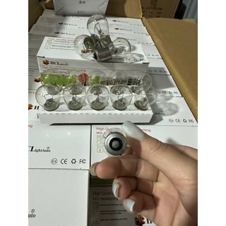 Hộp 10 bóng đèn xi nhan, bóng đèn Halogen S25 tiêu chuẩn điện 12v và 24v. Bóng đèn phanh 1 tim-2 tim trắng.D