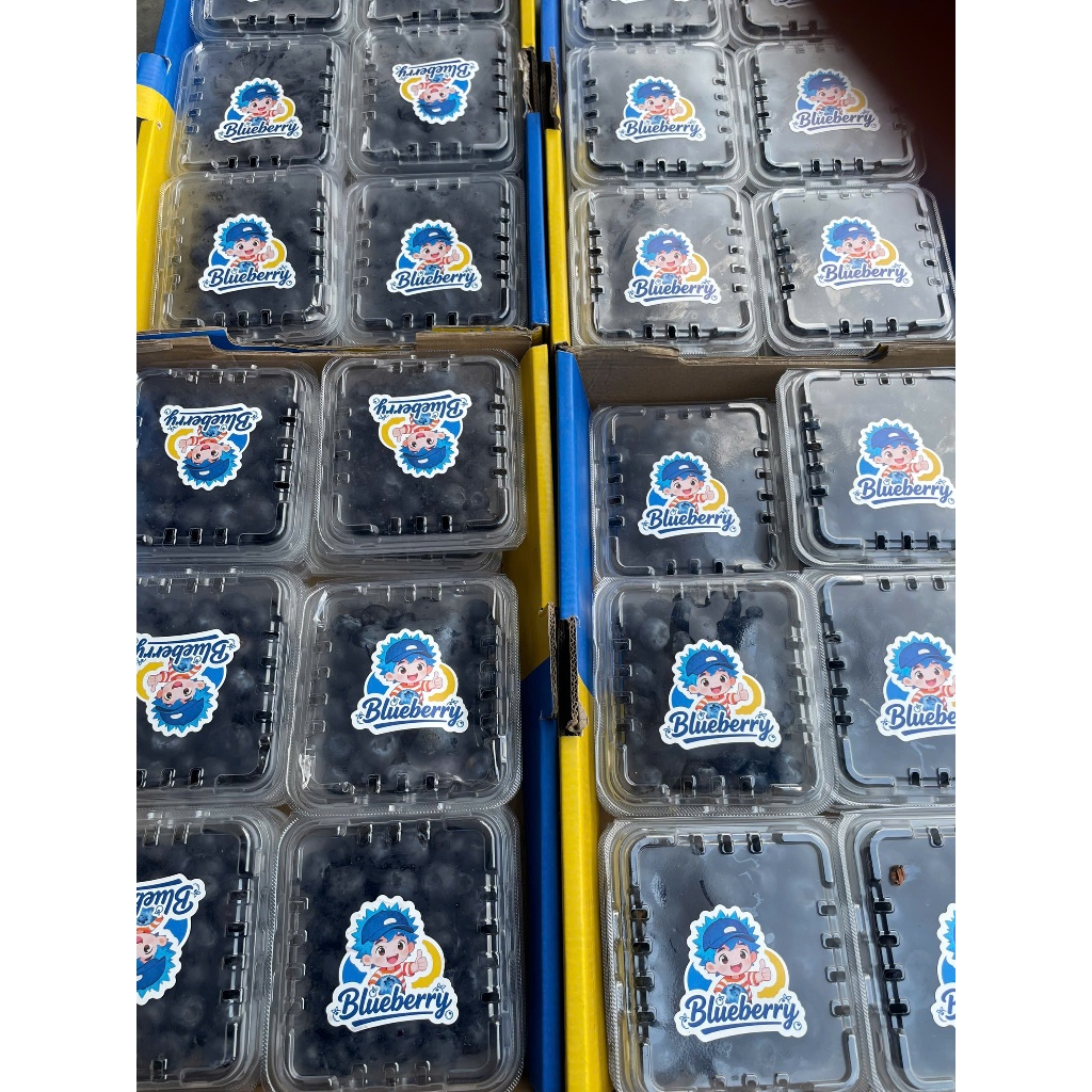 [ Ship Hỏa Tốc TP HCM ] 1 hộp Việt quất U.S.A (125g) Nam Phi ống (200g)