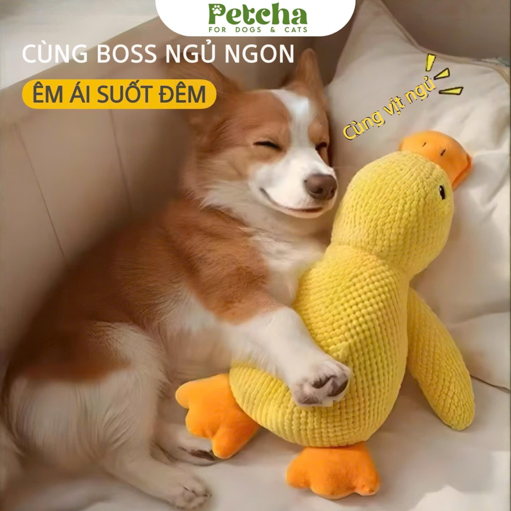 Vịt Bông Vàng | PETCHA – Đồ Chơi Thú Cưng Cho Chó Mèo Giải Trí, Gặm Cắn Giảm Stress