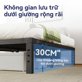 Panda Giường sắt Lắp ráp giường sắt chịu lực 1m/1m2/1m5/1m8 Nhiều kích cỡ Làm dày và gia cố