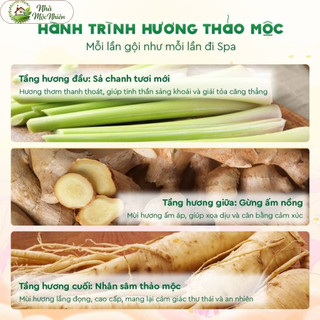 Dầu Gội, Dầu Xả Thảo Dược Gừng Sả 30g Ngăn Tóc Bết Dầu Nhà Mộc Nhiên.