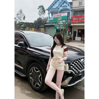 LT - Áo len nữ dệt kim cổ bẻ, tay cộc hoạ tiết chữ thêu ngực đầy đủ lên fom cực sang free size 1581