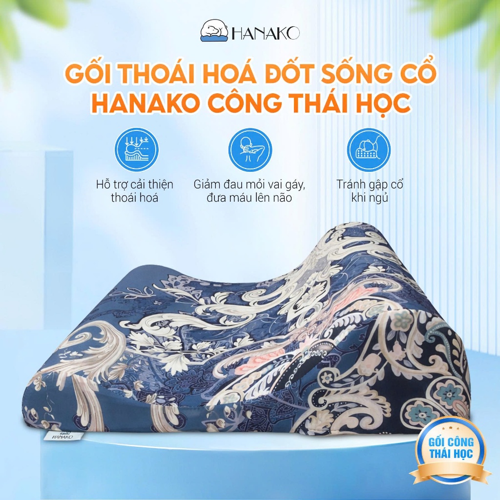 Gối Công Thái Học Chống Thoái Hóa Đốt Sống Cổ Hanako Chuyên Dụng 2 Đầu Gối Cao Thấp