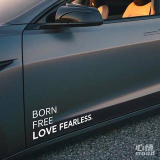 Tem chữ NOT FOR EVERYBODY decal dán thân xe ô tô ( 1 bộ 2 bên ) TC010
