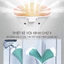 Bàn ủi hơi nước đứng QCOOKO, Bàn Là Hơi Nước Cây Đứng Công Suất 1800W, Bàn ủi hơi nước cầm tay ủi mọi loại vải