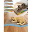 Bàn cào móng carton cho mèo (tặng kèm cỏ bạc hà catnip) size lớn