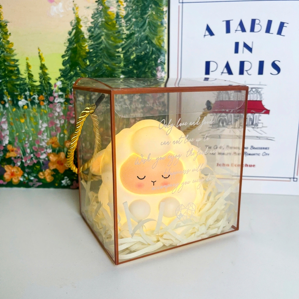 Bộ Quà Tặng Đèn Ngủ Trang Trí Kèm Hộp Quà Cho Sinh Nhật 8/3 20/10 1/6 Cute Mun Store S.DEN