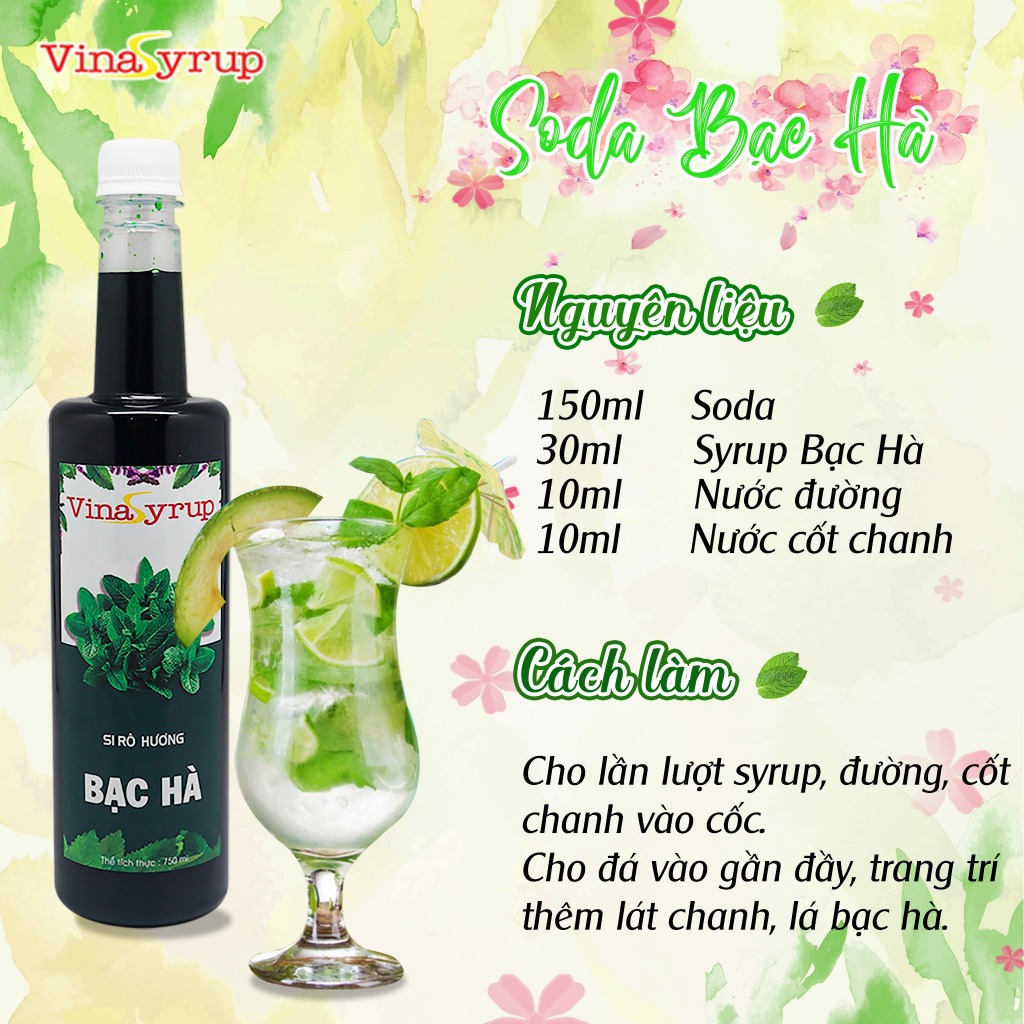 Siro Vina chai 750ml (nhiều hương)