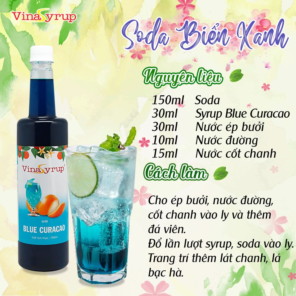 Siro Vina chai 750ml (nhiều hương)