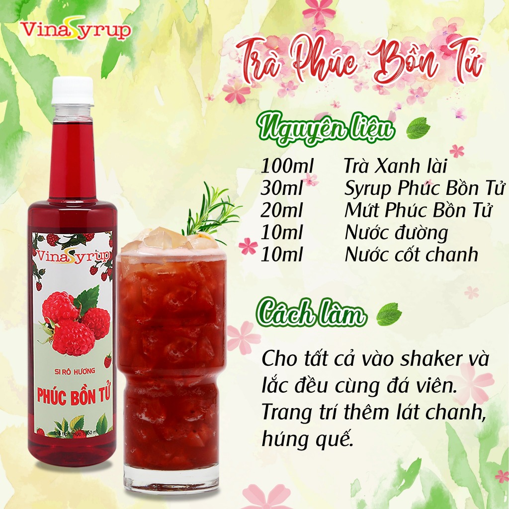 Siro Vina chai 750ml (nhiều hương)