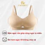 Combo Áo Ngực Nữ Đúc Su Không Gọng Mềm Mịn, Set Áo Lót Nữ Đệm Vừa 2cm Chống Chảy Xệ AMYBRA A1289