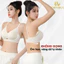 Combo Áo Ngực Nữ Đúc Su Không Gọng Mềm Mịn, Set Áo Lót Nữ Đệm Vừa 2cm Chống Chảy Xệ AMYBRA A1289