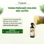 Nước xả dừa hương hoa quýt giúp tóc suôn mượt, bồng bềnh, lưu hương 48h 100ml/500ml