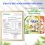 Nước Rửa Chén Bát TopGia Hương Bưởi & Chanh, An Toàn Cho Da Tay, Sạch Dầu Mỡ, Túi 2L