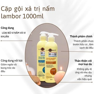 Cặp Dầu Gội Xả LAMBOR VÀNG 1000ml Giảm Gàu, Giảm Dầu, Giảm Gãy Rụng, Phục Hồi Tóc Mềm Mượt