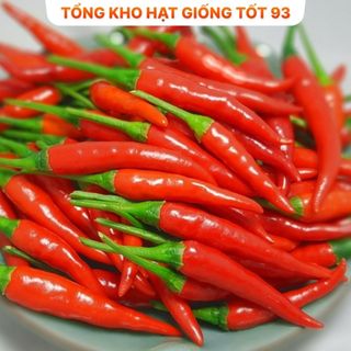 Hạt giống Ớt chỉ thiên 0,1gram năng suất hàng công ty Loại 1