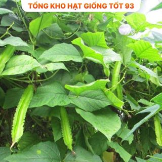 Hạt giống đậu rồng hàng công ty Loại 1