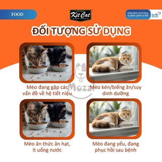 [Thùng 48 gói] Pate cho mèo KitCat Savoury Soup dạng súp nhiều nước Gói 50g