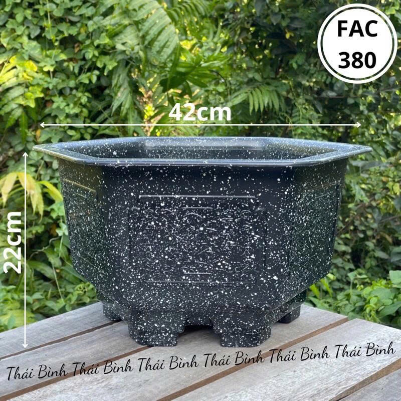 Chậu Nhựa Lục Giác Giả Đá FAC380 Kt 42x22cm (Nhựa Dày) - Chậu Nhựa trồng cây, trồng hoa,hàng sẵn