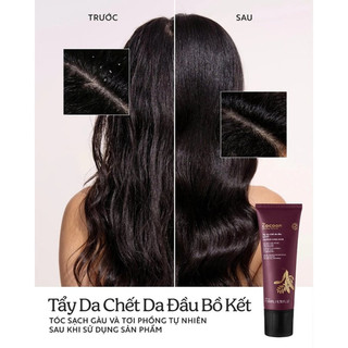 Tẩy Da Chết Da Đầu Bồ Kết Cocoon Gleditsia Scalp Scrub Giảm Ngứa, Giúp Tóc Bồng Bềnh 200ml